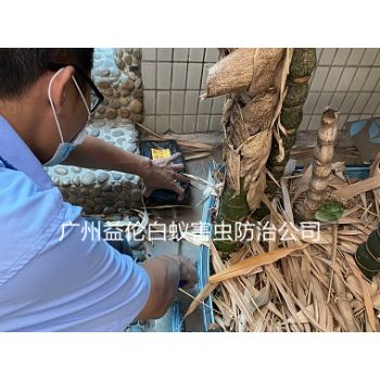 新造镇白蚁危害防治工程