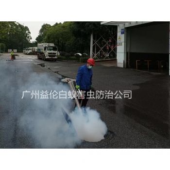 洛浦街道消杀蟑螂蚊蝇